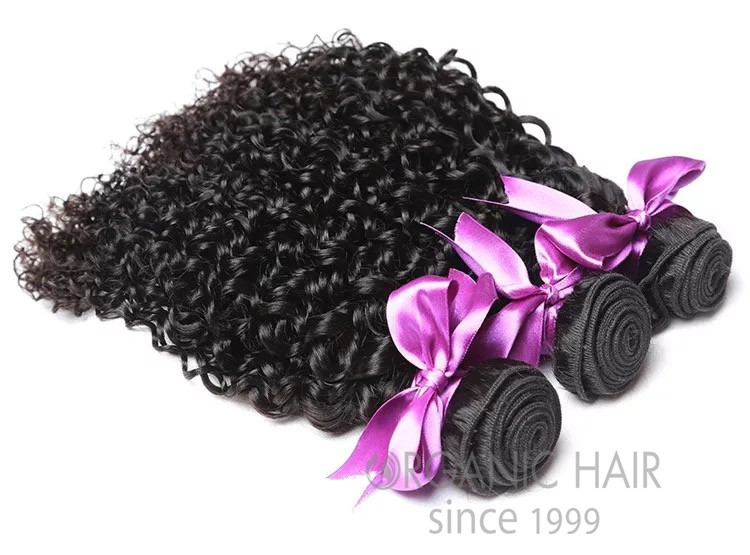 Curly virgin malaysian human hair extensions 